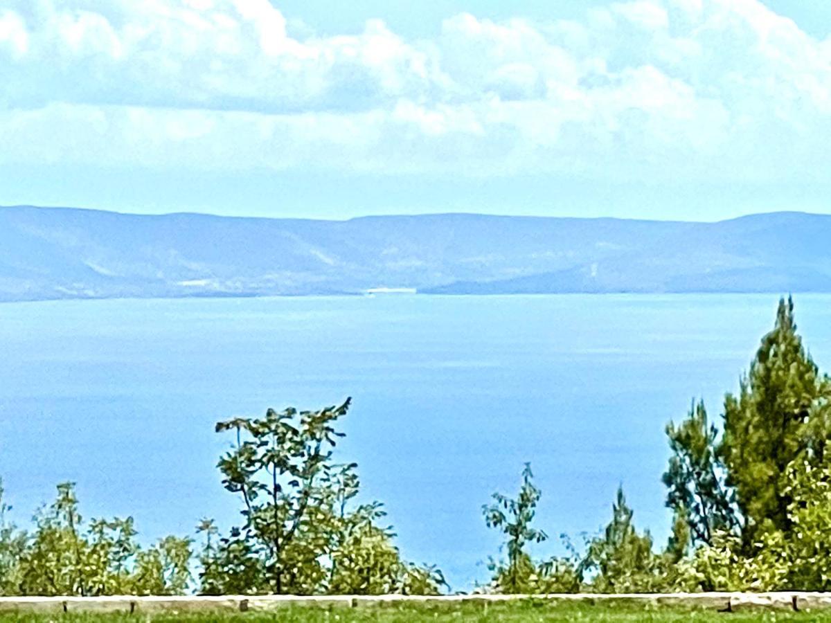Luxury Panorama Vila With Amazing Seaview In Gondolici 7 Km From Rabac Labin  Ngoại thất bức ảnh