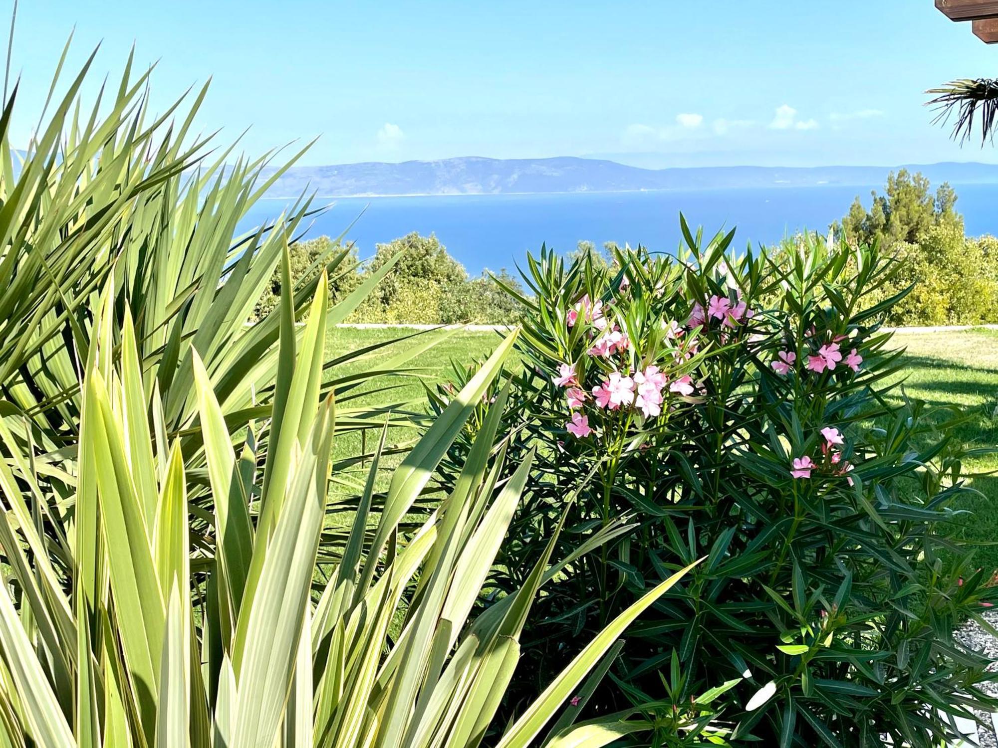Luxury Panorama Vila With Amazing Seaview In Gondolici 7 Km From Rabac Labin  Ngoại thất bức ảnh